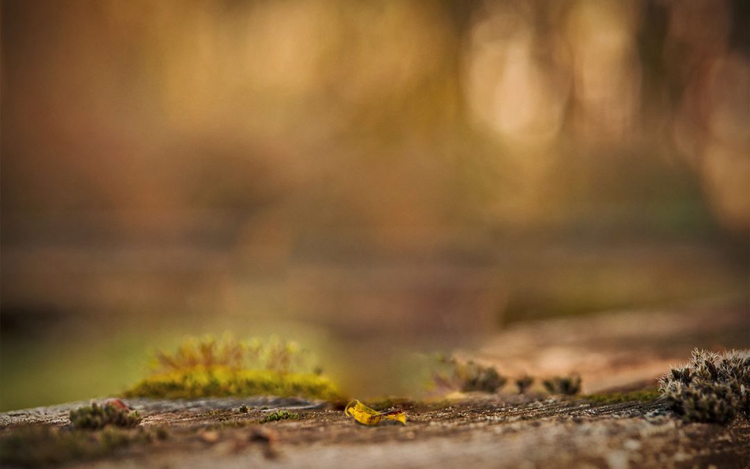 I can’t go back the door is closed