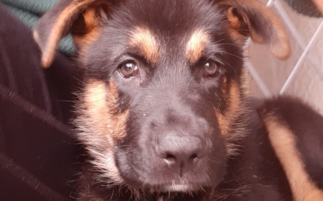 7 years, 7 months and 7 days…the gift.