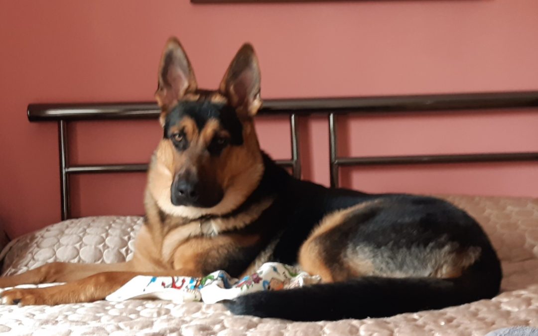 Limiting beliefs to owning one’s own power