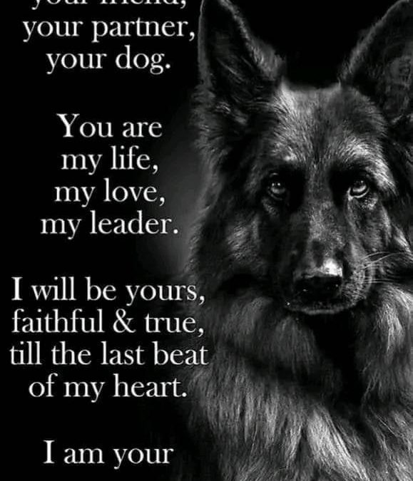 This life is precious