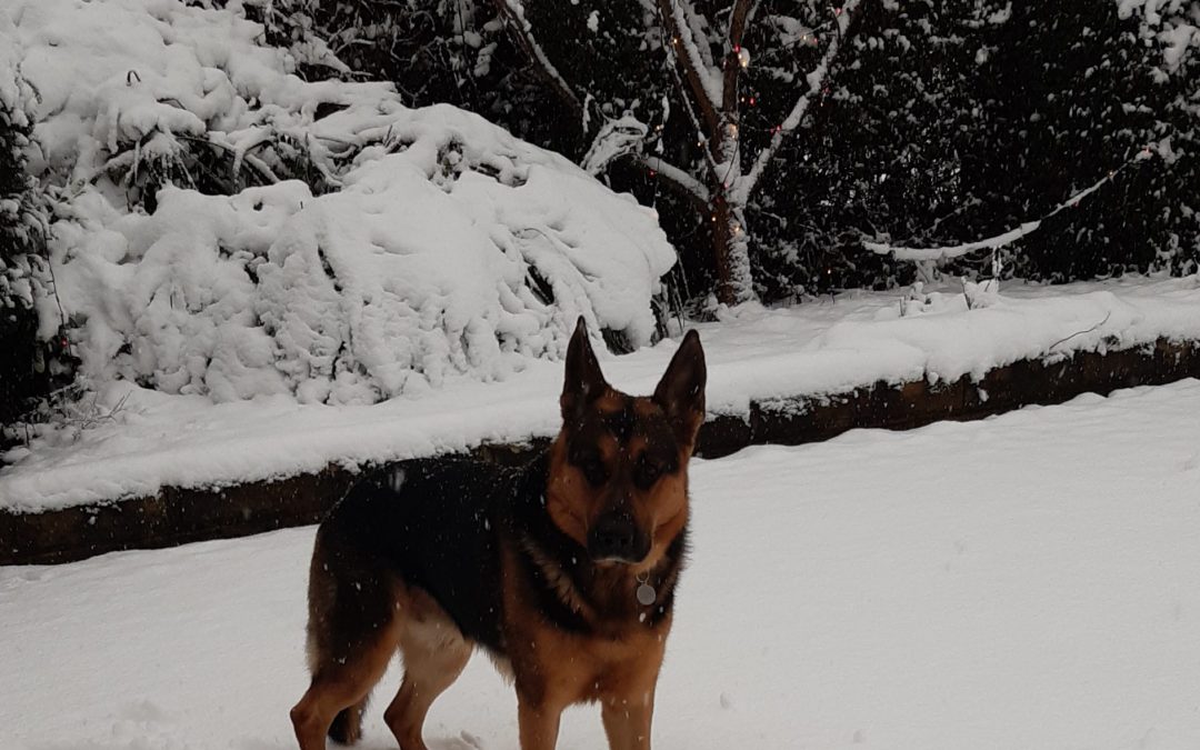 Finding Warmth in a Cold World: Reflections on Weather and Family